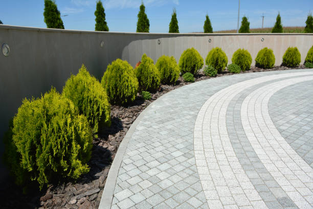Best Custom Driveway Pavers  in Middleport, NY